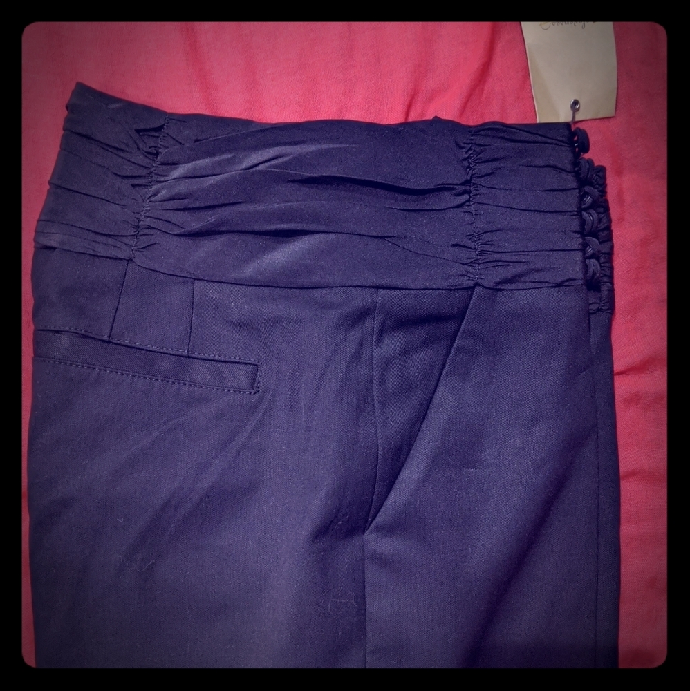 NWT Anthropologie tuxedo pants